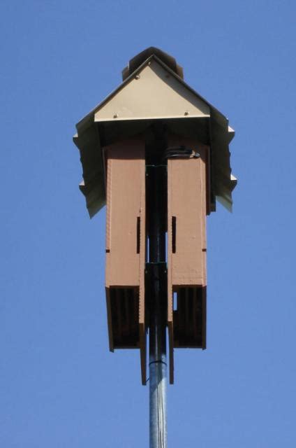 metal roof for bat house